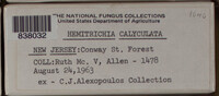Image Associated With the Occurence